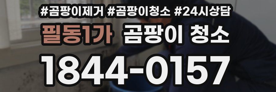 필동1가 곰팡이 청소