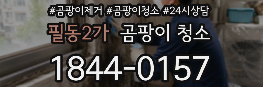 필동2가 곰팡이 청소