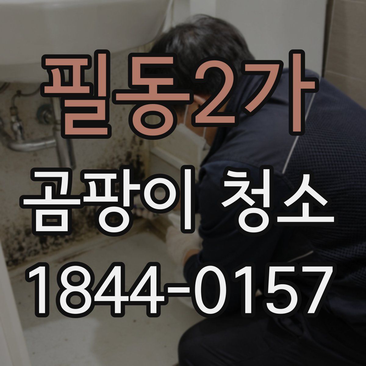 필동2가 곰팡이 청소