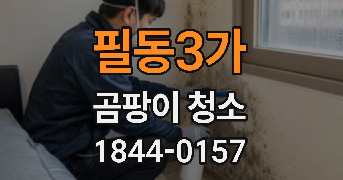 필동3가 곰팡이 청소
