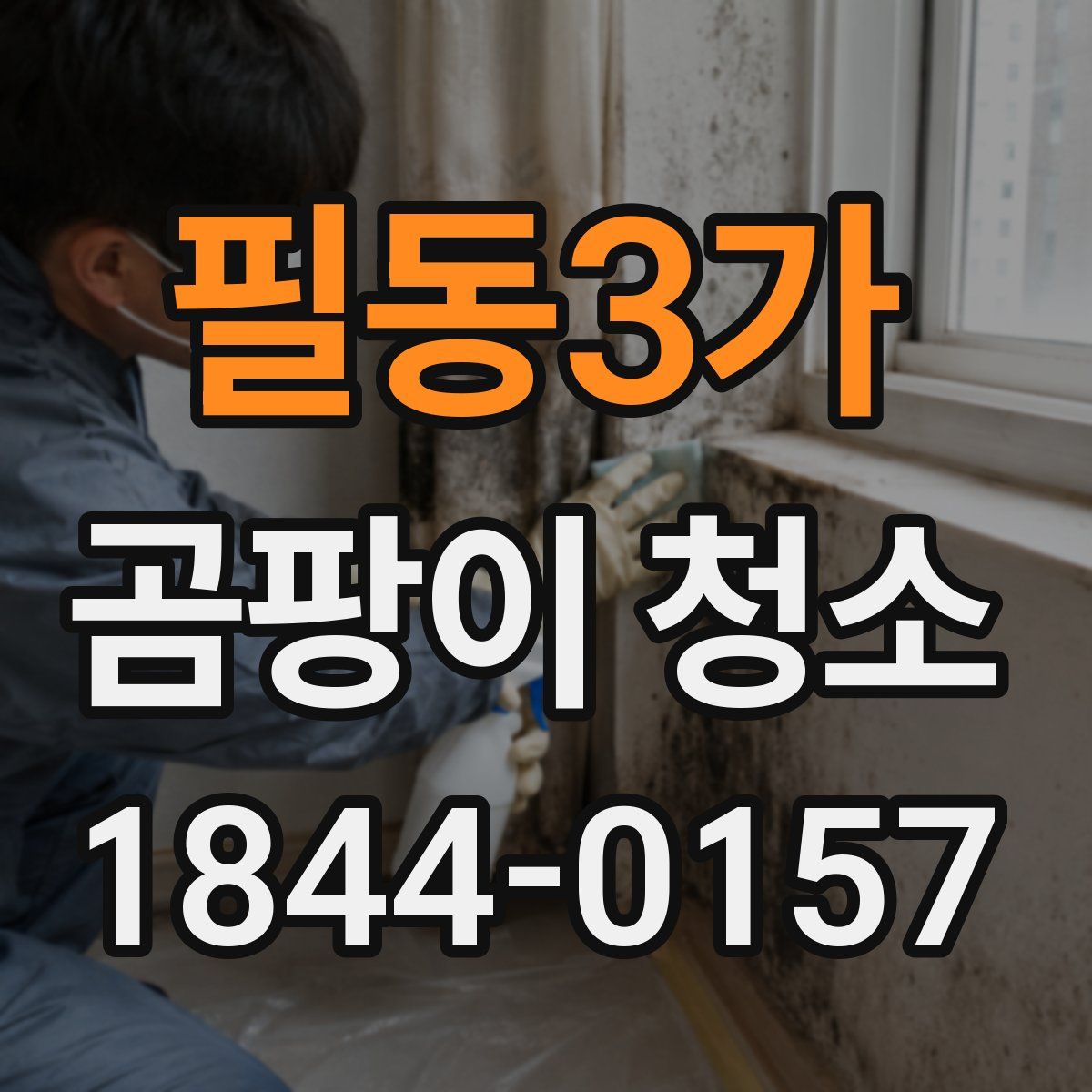 필동3가 곰팡이 청소