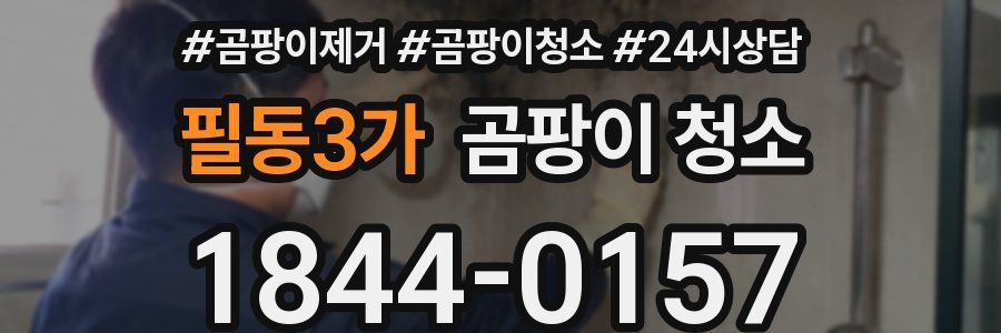 필동3가 곰팡이 청소