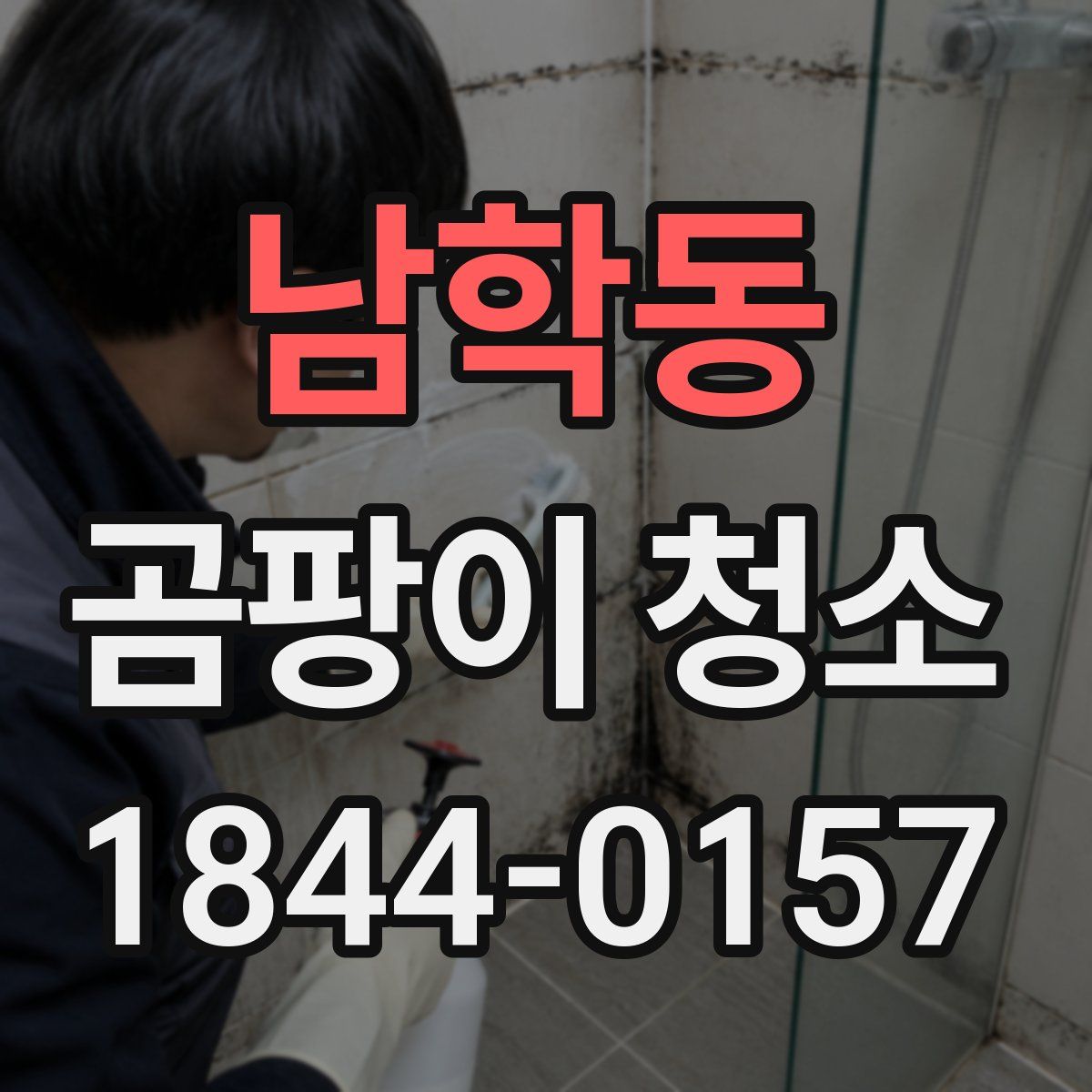 남학동 곰팡이 청소