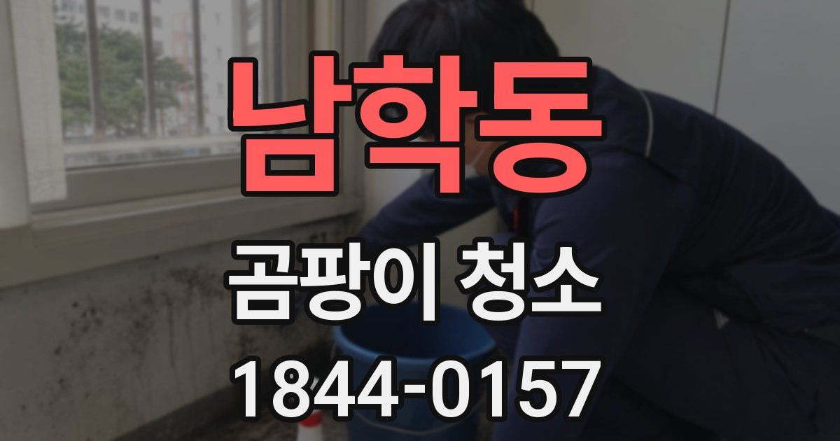 남학동 곰팡이 청소