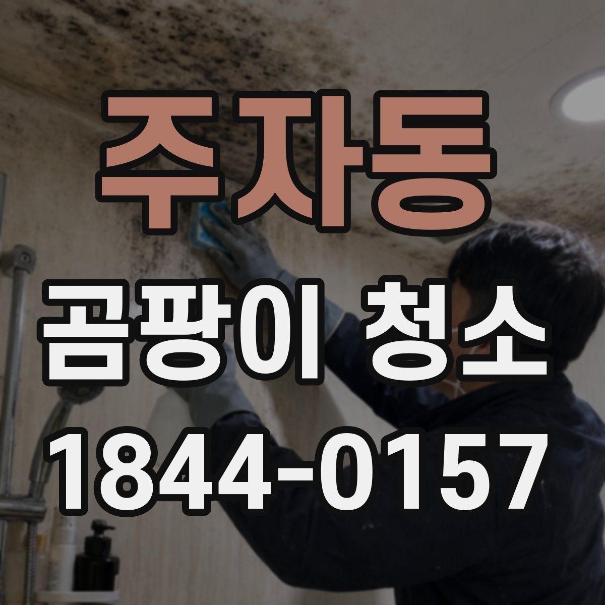주자동 곰팡이 청소 세제 선택 전 표면 손상 여부 확인하기