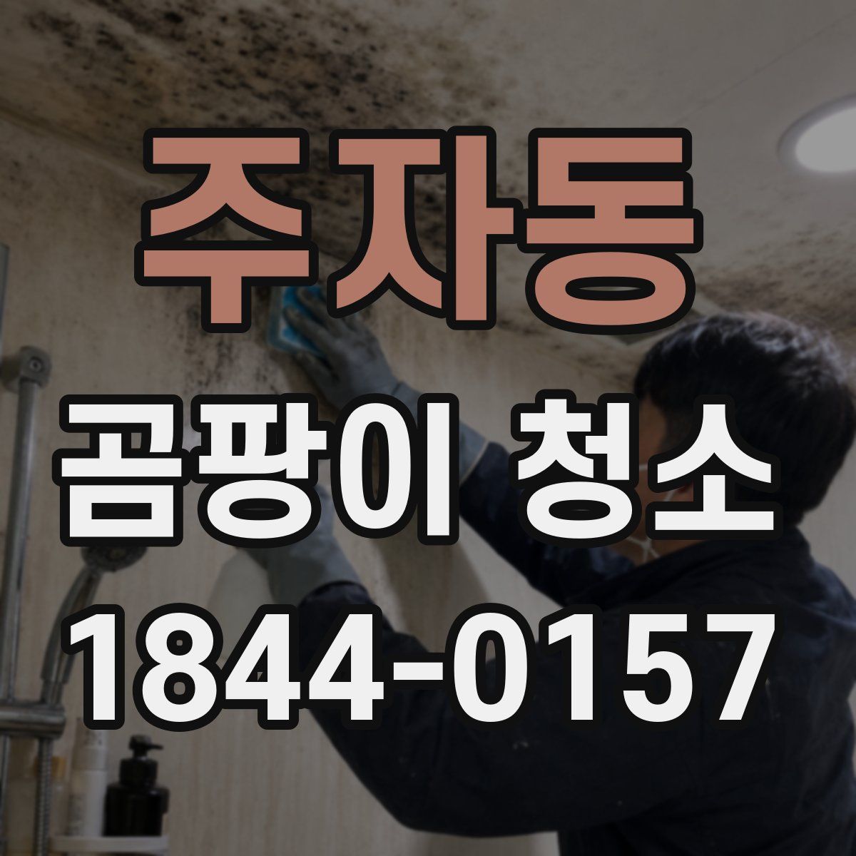 주자동 곰팡이 청소