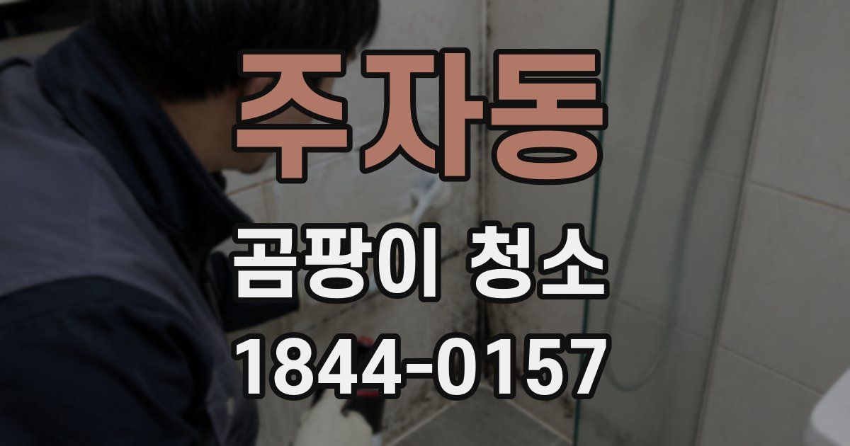 주자동 곰팡이 청소
