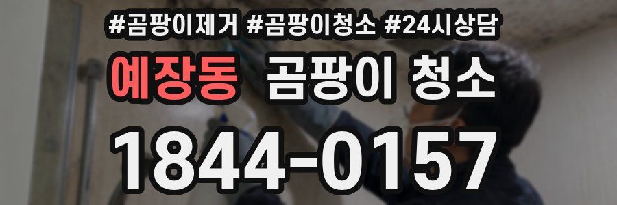 예장동 곰팡이 청소