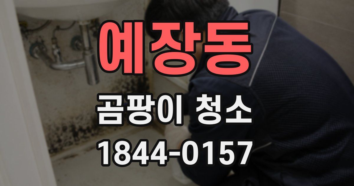 예장동 곰팡이 청소