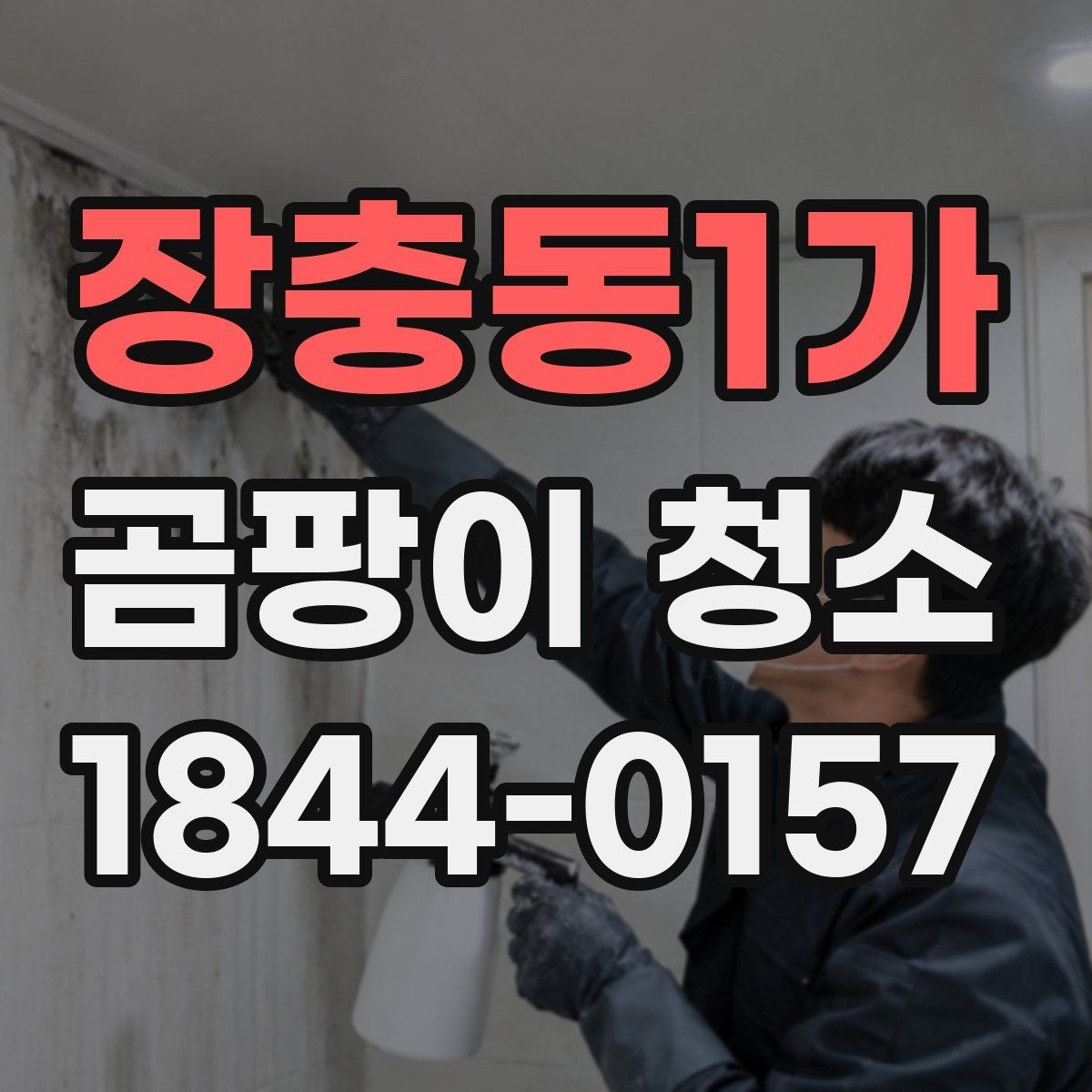 장충동1가 곰팡이 청소 음식물 오염과 헷갈릴 때 구분하는 방법