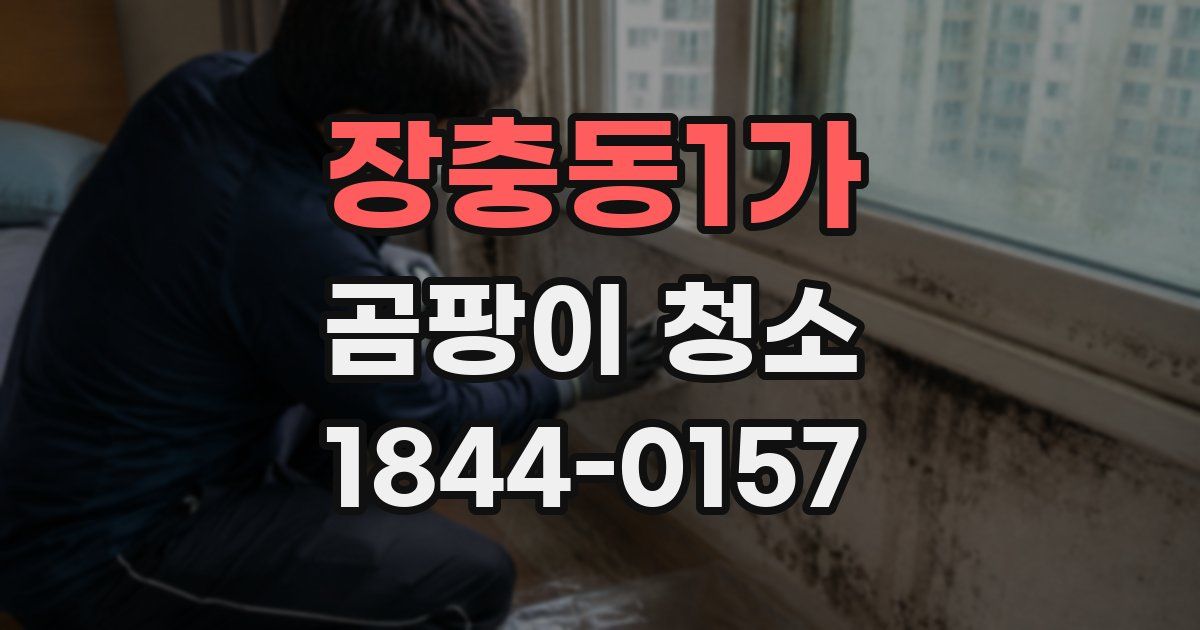 장충동1가 곰팡이 청소