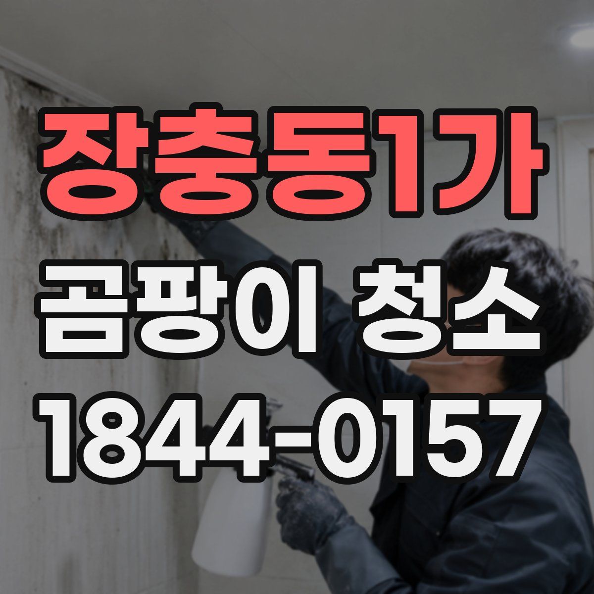 장충동1가 곰팡이 청소