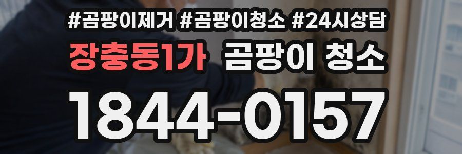 장충동1가 곰팡이 청소