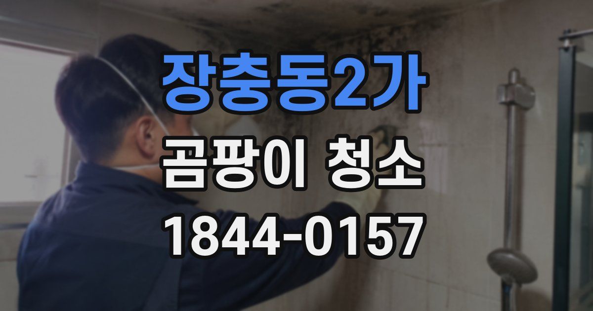 장충동2가 곰팡이 청소