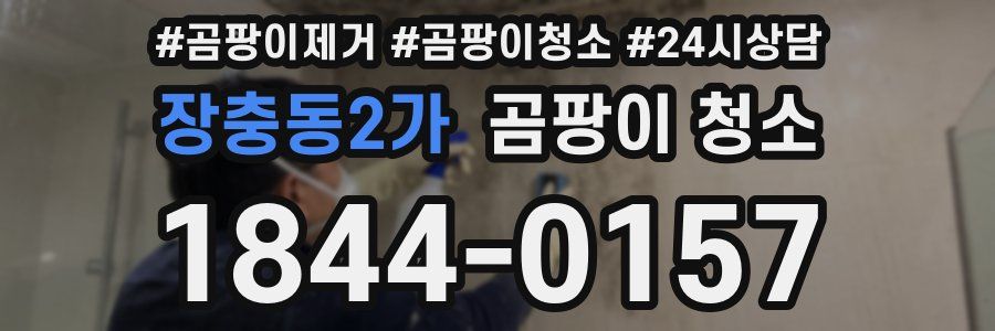 장충동2가 곰팡이 청소