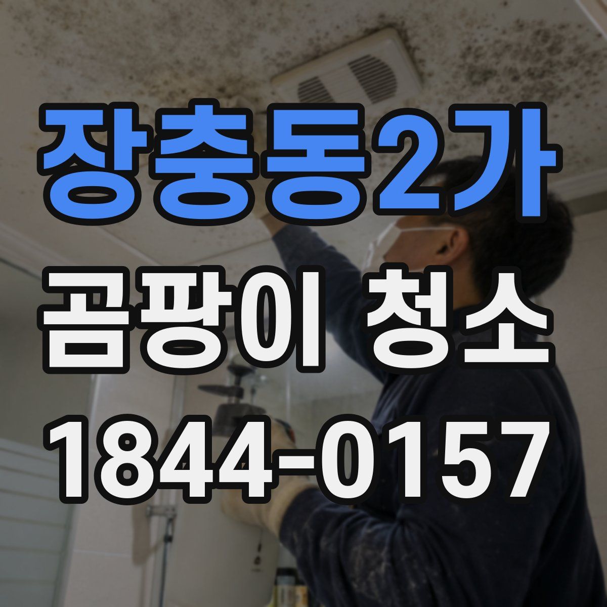 장충동2가 곰팡이 청소
