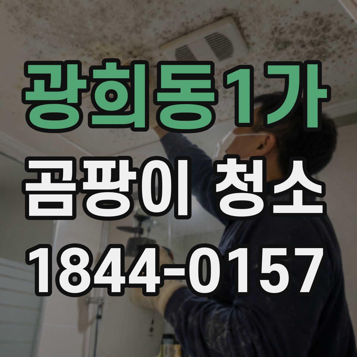 광희동1가 곰팡이 청소