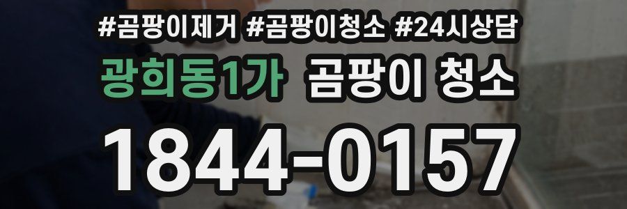 광희동1가 곰팡이 청소