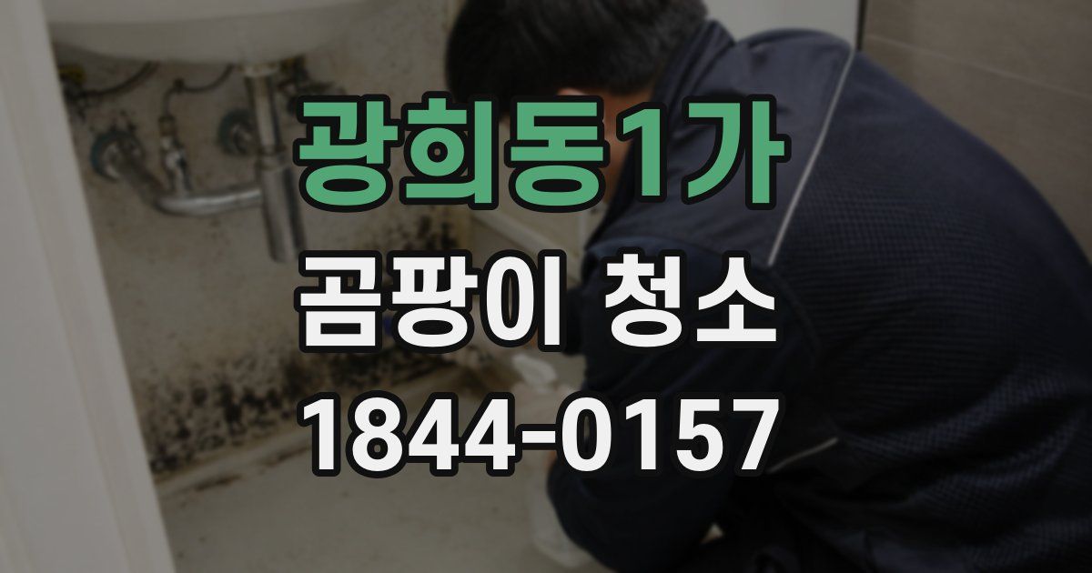 광희동1가 곰팡이 청소