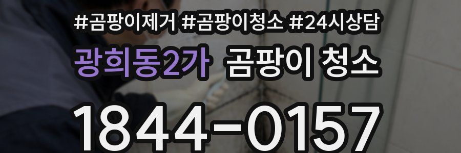 광희동2가 곰팡이 청소