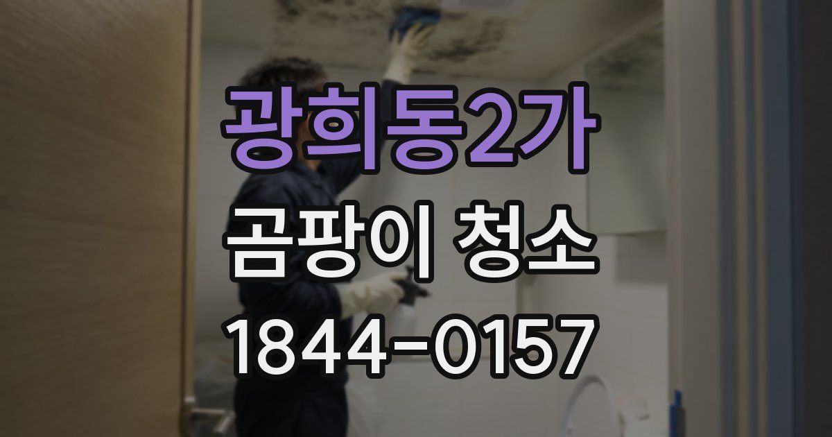 광희동2가 곰팡이 청소