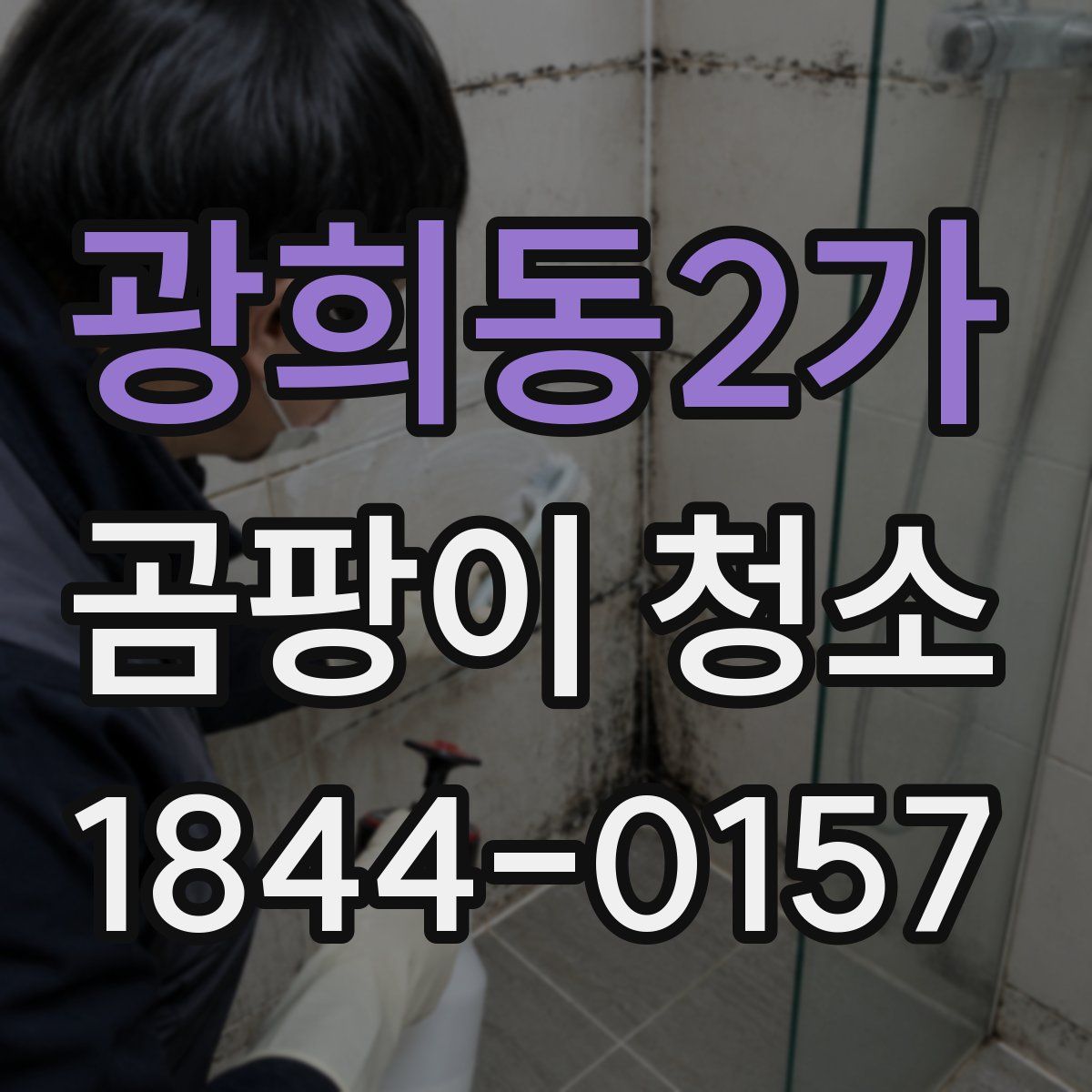 광희동2가 곰팡이 청소