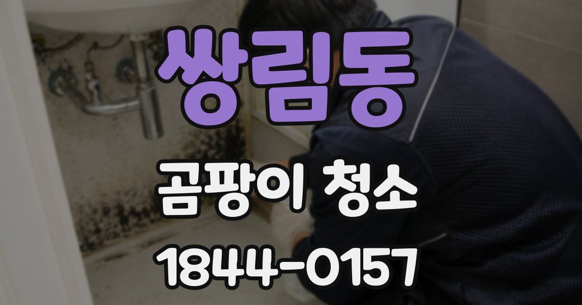 쌍림동 곰팡이 청소