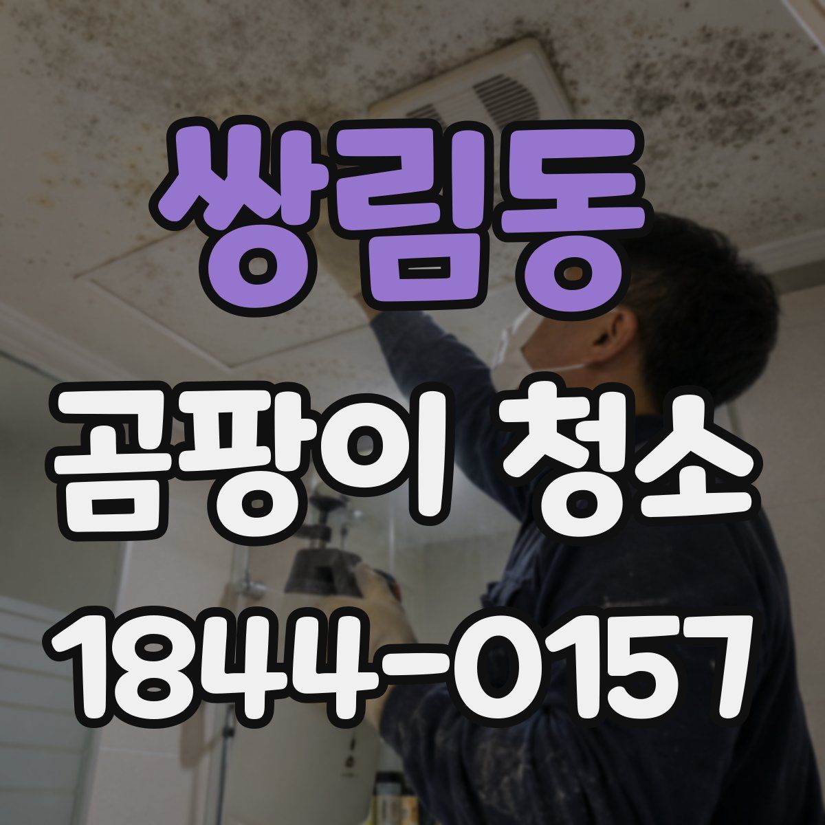 쌍림동 곰팡이 청소