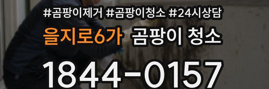 을지로6가 곰팡이 청소