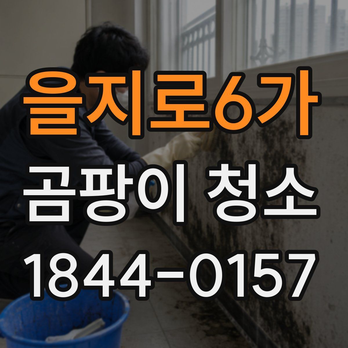 을지로6가 곰팡이 청소