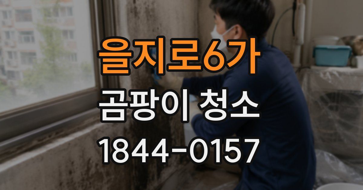 을지로6가 곰팡이 청소