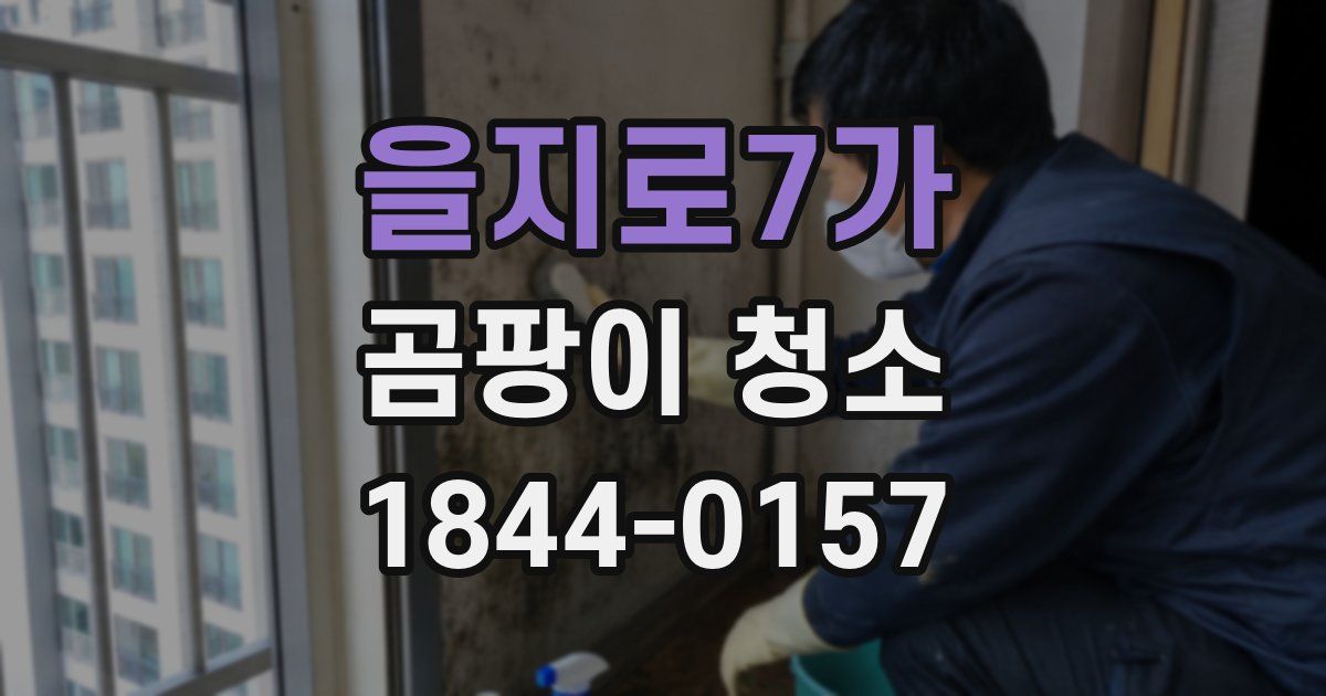 을지로7가 곰팡이 청소