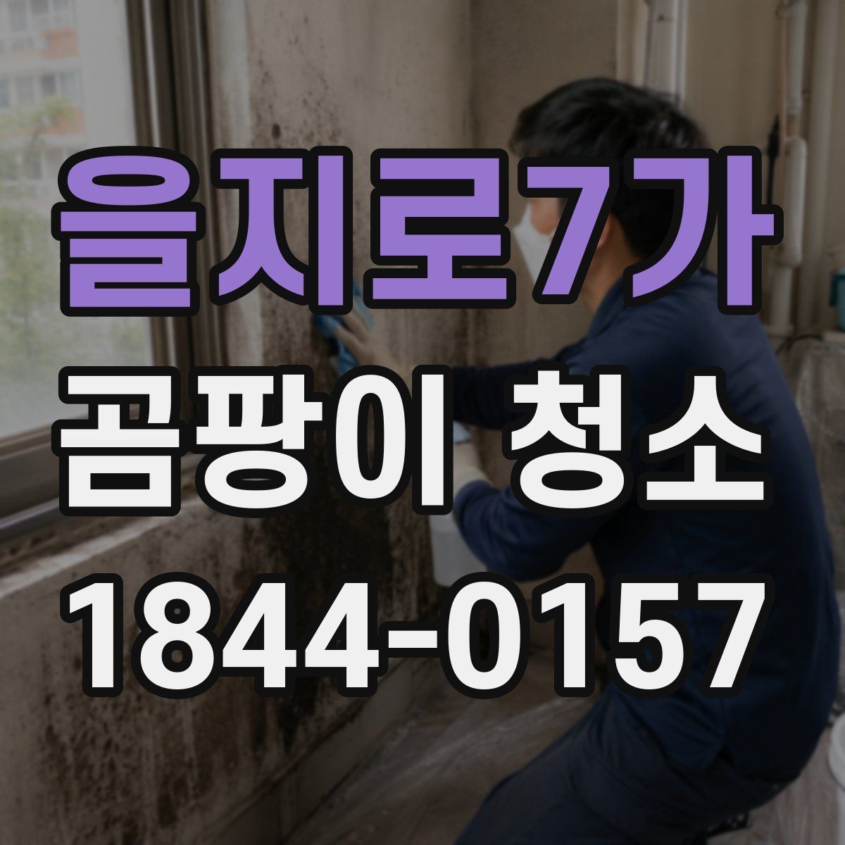 을지로7가 곰팡이 청소