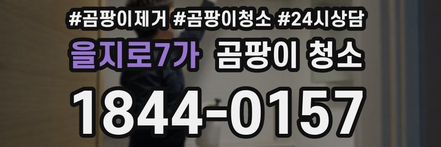 을지로7가 곰팡이 청소
