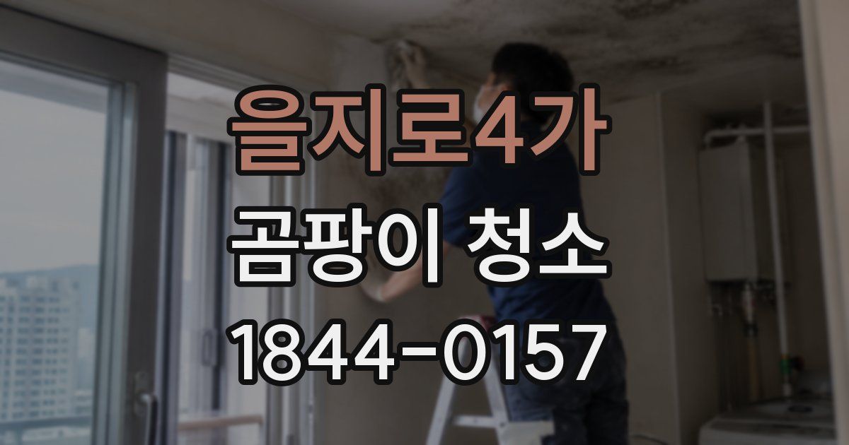 을지로4가 곰팡이 청소