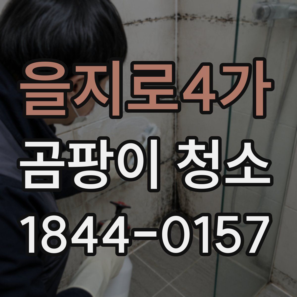 을지로4가 곰팡이 청소