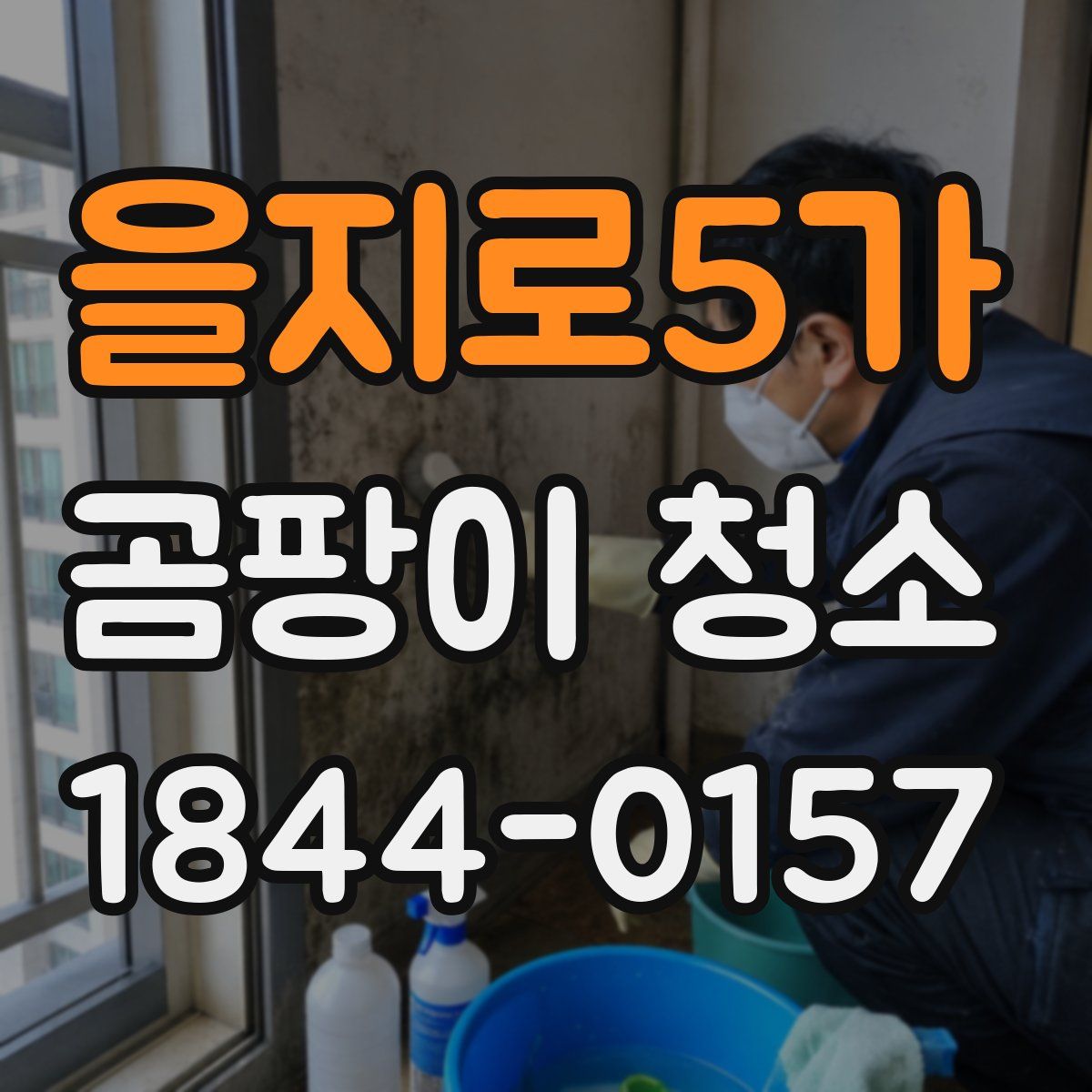 을지로5가 곰팡이 청소