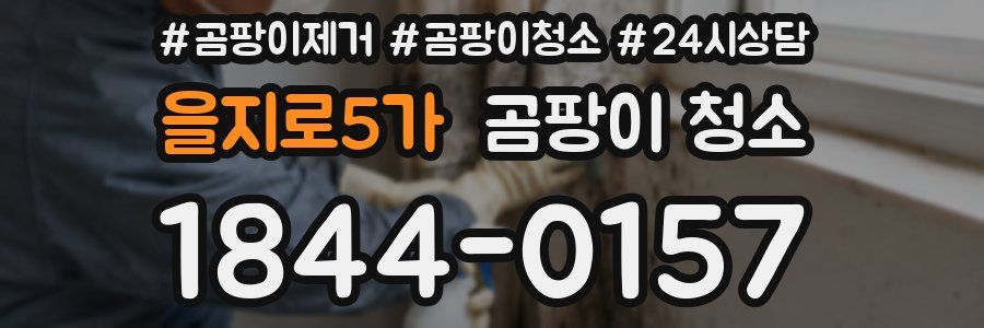 을지로5가 곰팡이 청소