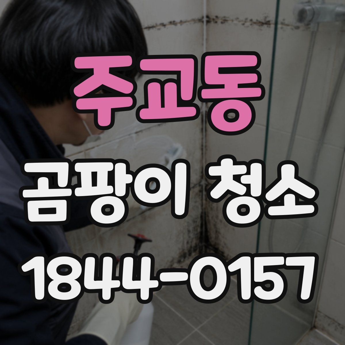 주교동 곰팡이 청소