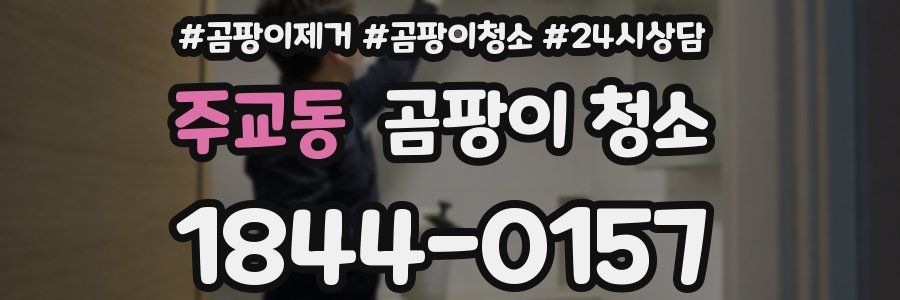 주교동 곰팡이 청소