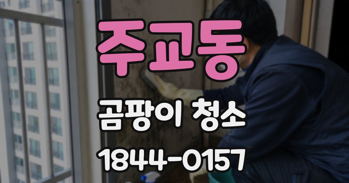 주교동 곰팡이 청소