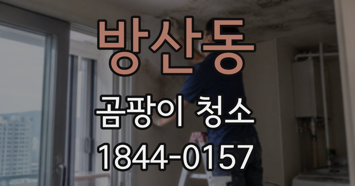 방산동 곰팡이 청소
