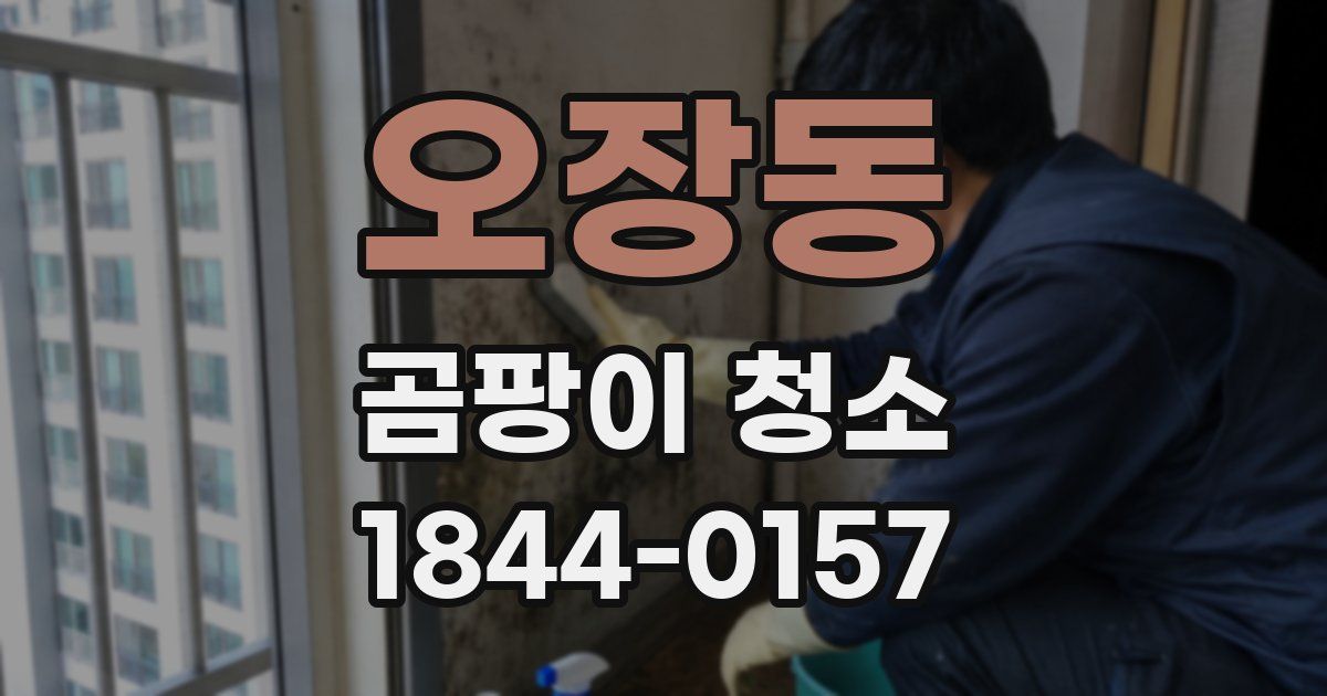 오장동 곰팡이 청소