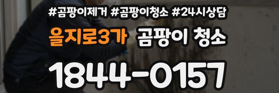 을지로3가 곰팡이 청소