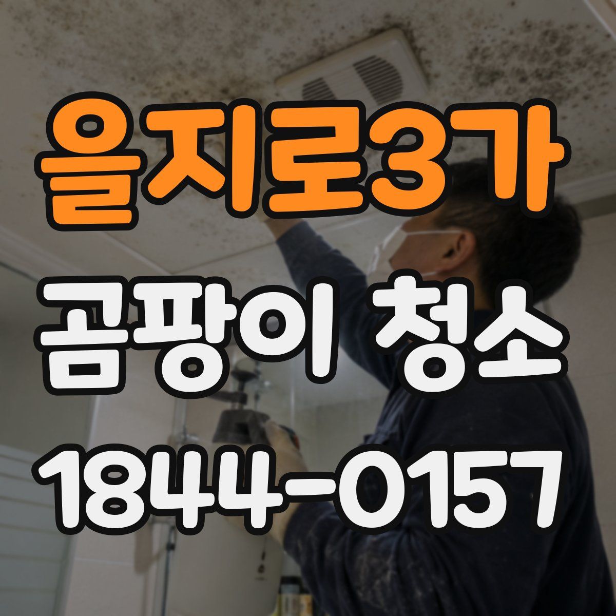 을지로3가 곰팡이 청소