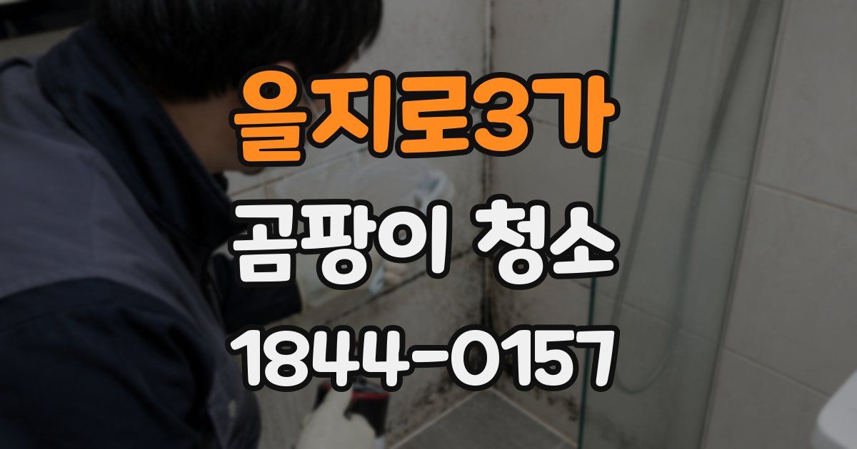 을지로3가 곰팡이 청소