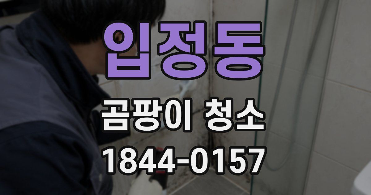 입정동 곰팡이 청소