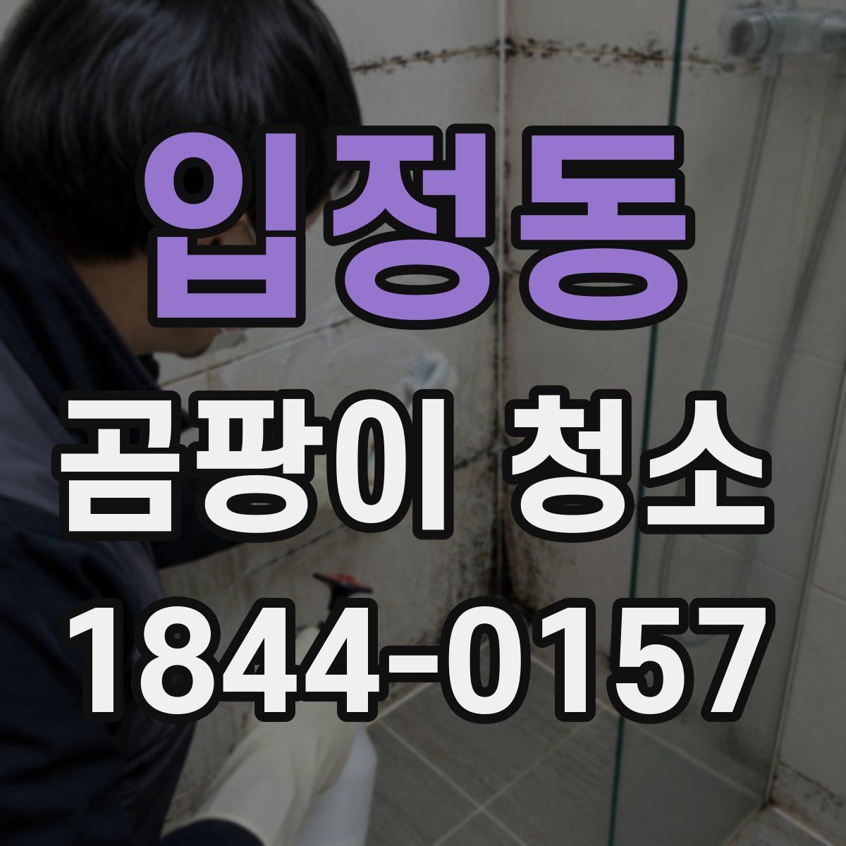 입정동 곰팡이 청소