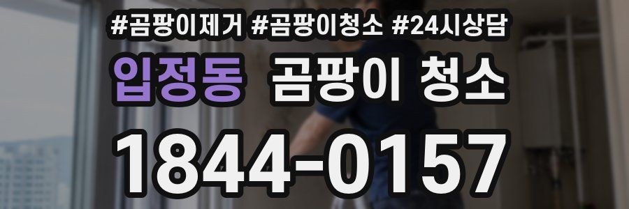 입정동 곰팡이 청소