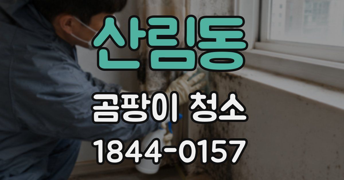 산림동 곰팡이 청소